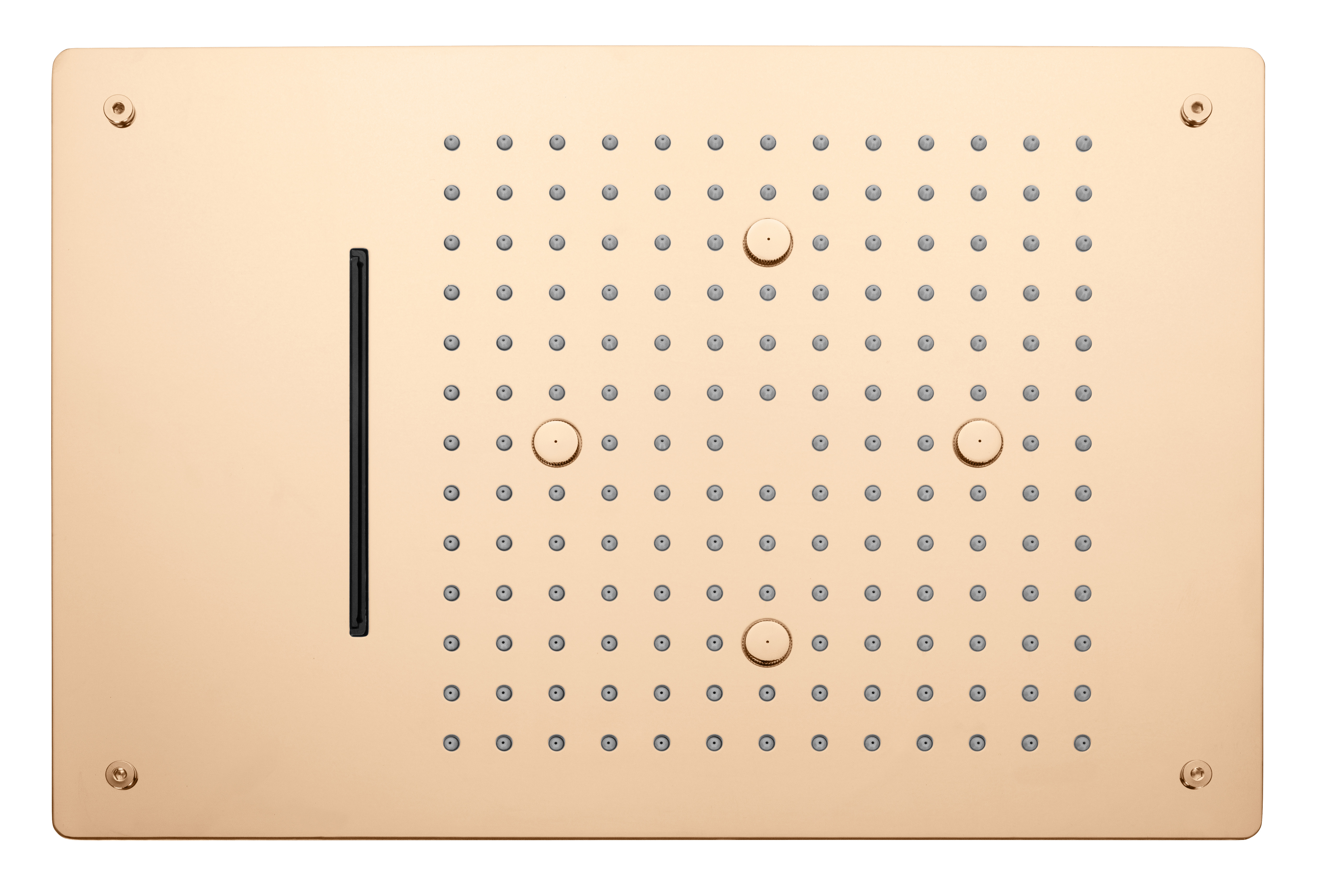 Triune 3 Function Shower